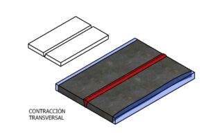 contraccion transversal